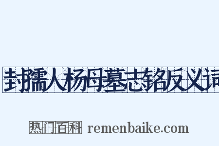 封孺人杨母墓志铭反义词是什么意思的图片